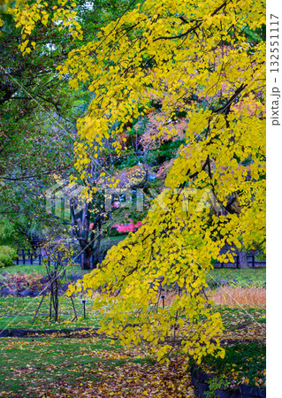 中島公園秋の一日_2053 132551117