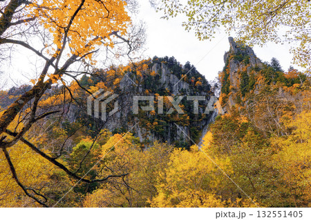 層雲峡の紅葉 層雲峡の紅葉 132551405