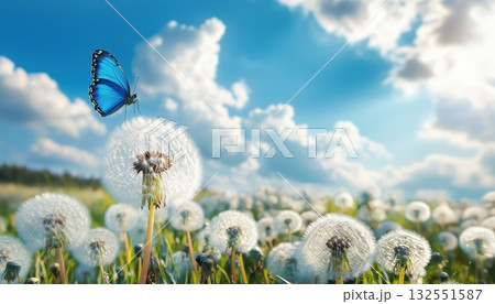 Beautiful Spring Scene 132551587