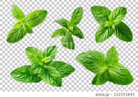 Fresh green mint leaves arranged artistically, showcasing vibrant colors and textures for culinary and design purposes. Isolated on transparent background. Fresh green mint leaves arranged artistically, showcasing vibrant colors and textures for culinary and design purposes. Isolated on transparent background. 132551643