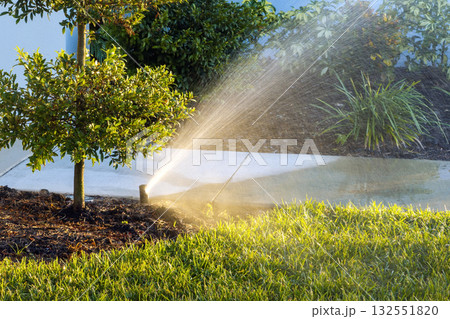 Lawn grass watering with automated sprinkler irrigation system 132551820
