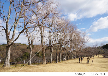 冬の公園『四日市南部丘陵公園』 132551901