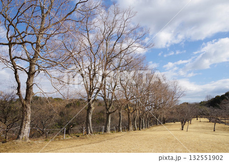 冬の公園『四日市南部丘陵公園』 132551902