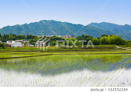 水田と新緑の里山風景 水田と新緑の里山風景 132552284