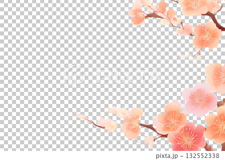 Background material: Plum blossoms cutout 132552338