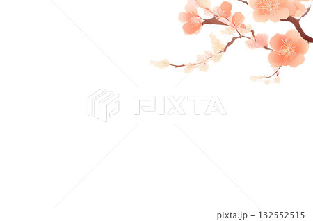背景素材　梅　切り抜き 132552515