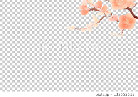 背景素材　梅　切り抜き 132552515