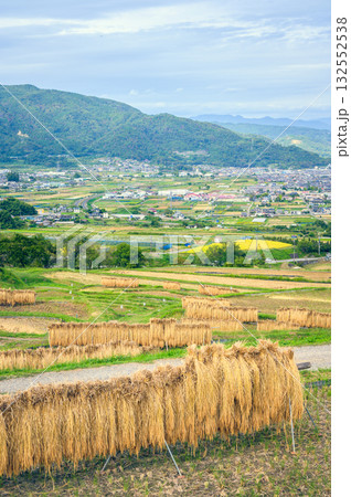稲架掛けの風景と眼下に広がる善光寺平【姨捨の棚田】 132552538