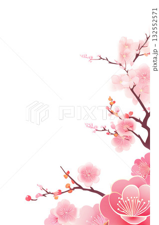 背景素材　梅　切り抜き 132552571