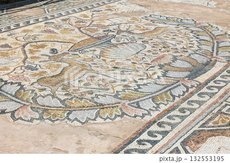 Mosaic in Heraclea Lyncestis - ancient greek city in Macedonia 132553195