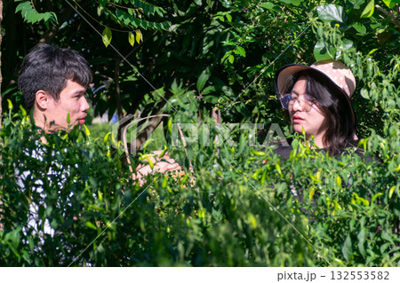 Two Thai LGBTQ friends harvesting fresh chili peppers in backyard garden during relaxing evening showing friendship nature and simple joyful lifestyle 132553582