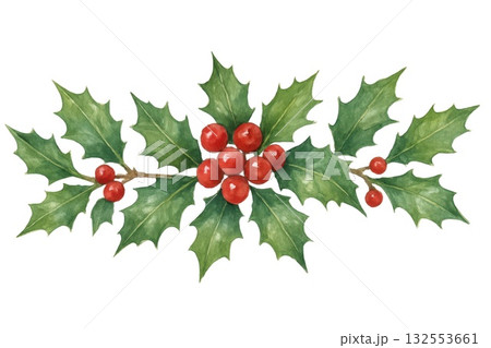Festive holly leaves and red berries watercolor on white background 132553661