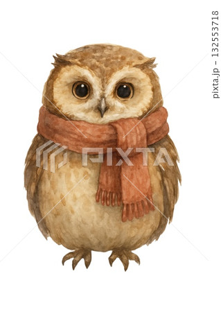 Adorable watercolor owl with cozy scarf on white background 132553718