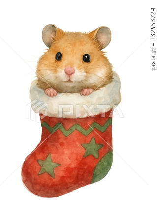 Cute hamster in festive christmas stocking watercolor art Cute hamster in festive christmas stocking watercolor art 132553724