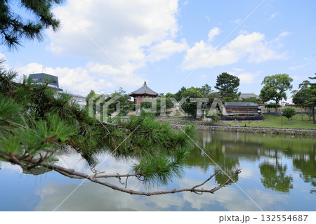 松の枝越し　興福寺　南円堂 132554687