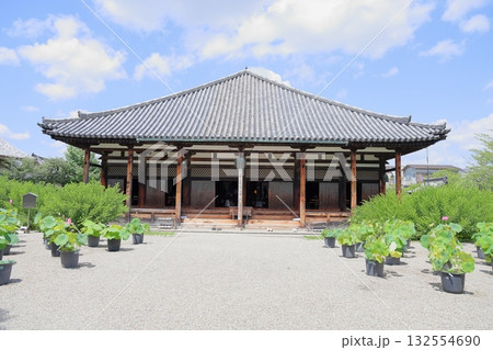 夏 元興寺 極楽堂 夏 元興寺 極楽堂 132554690