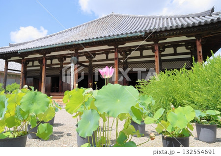 元興寺　蓮の花 132554691