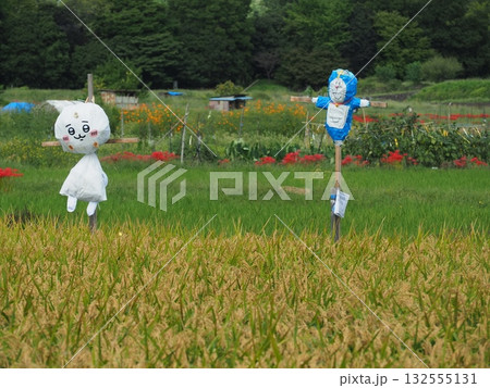 嵯峨野の案山子 132555131