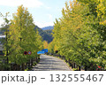 甲州街道のイチョウ並木　 132555467