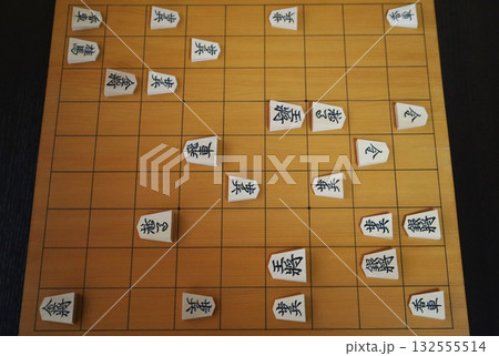 第73期王座戦第2局投了棋譜の盤面 第73期王座戦第2局投了棋譜の盤面 132555514