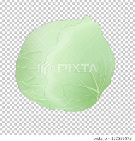 水彩畫的白菜插圖 水彩畫的白菜插圖 132555578