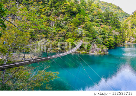 静岡県寸又峡の夢のつり橋 静岡県寸又峡の夢のつり橋 132555715