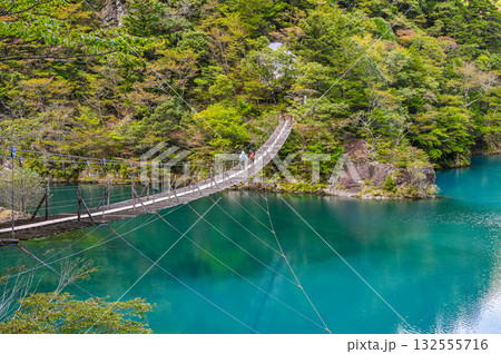 静岡県寸又峡の夢のつり橋 静岡県寸又峡の夢のつり橋 132555716