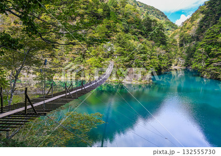 静岡県寸又峡の夢のつり橋 132555730