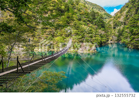 静岡県寸又峡の夢のつり橋 132555732