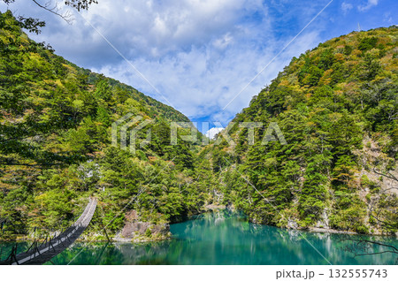静岡県寸又峡の夢のつり橋 132555743