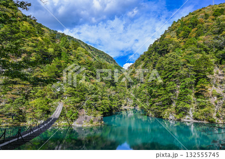 静岡県寸又峡の夢のつり橋 132555745