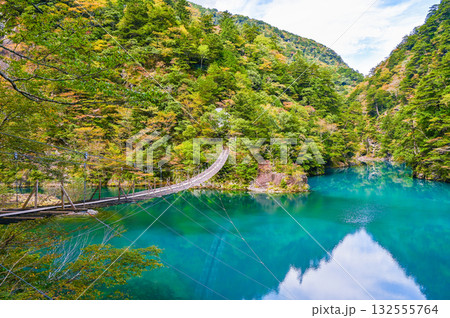 静岡県寸又峡の夢のつり橋 静岡県寸又峡の夢のつり橋 132555764