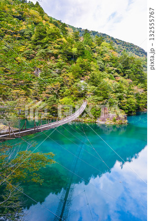 静岡県寸又峡の夢のつり橋 132555767