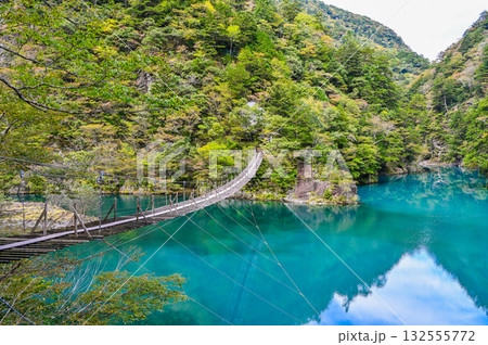 静岡県寸又峡の夢のつり橋 132555772