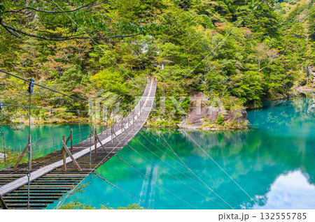 静岡県寸又峡の夢のつり橋 132555785