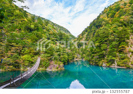 静岡県寸又峡の夢のつり橋 132555787