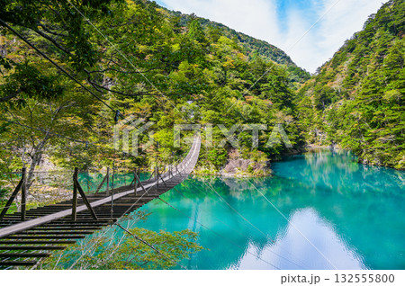 静岡県寸又峡の夢のつり橋 132555800