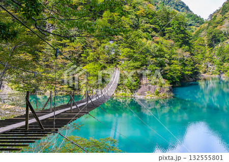 静岡県寸又峡の夢のつり橋 132555801