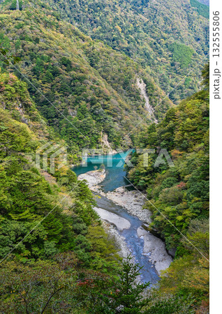 静岡県寸又峡の夢のつり橋 132555806