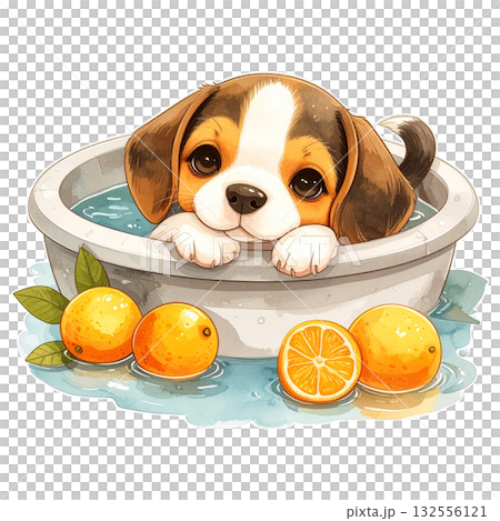 ゆず湯に入浴してリラックスするビーグルの子犬のかわいい水彩風2/チラシやポスター用素材イラスト ゆず湯に入浴してリラックスするビーグルの子犬のかわいい水彩風2/チラシやポスター用素材イラスト 132556121