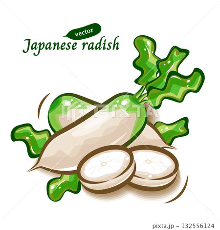 みずみずしい白い大根2本と輪切りのイラスト|野菜の可愛いポップアート みずみずしい白い大根2本と輪切りのイラスト|野菜の可愛いポップアート 132556124