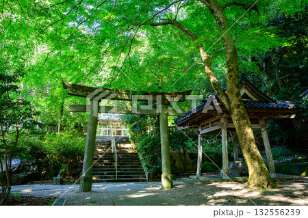 石川県、金劔宮 132556239
