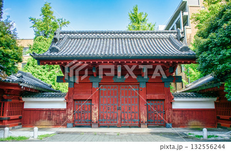 東京都 文京区 東京大学 赤門 国指定重要文化財 東京都 文京区 東京大学 赤門 国指定重要文化財 132556244