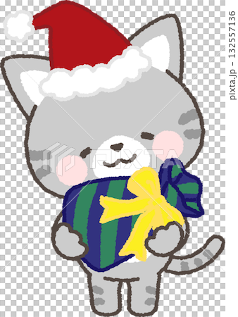 プレゼントを持つサンタ帽を被ったサバトラネコ プレゼントを持つサンタ帽を被ったサバトラネコ 132557136