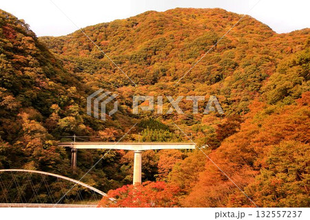 温泉郷の秋空を渡る… 鉄道旅で錦秋の『川治温泉』へ 野岩鉄道【川治温泉駅~川治湯元駅】 温泉郷の秋空を渡る… 鉄道旅で錦秋の『川治温泉』へ 野岩鉄道【川治温泉駅~川治湯元駅】 132557237