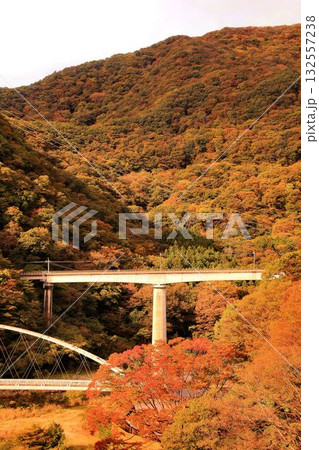 温泉郷の秋空を渡る… 鉄道旅で錦秋の『川治温泉』へ 野岩鉄道【川治温泉駅~川治湯元駅】 温泉郷の秋空を渡る… 鉄道旅で錦秋の『川治温泉』へ 野岩鉄道【川治温泉駅~川治湯元駅】 132557238