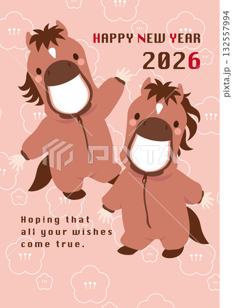 写真の顔をはめ込むことができる2人用の馬の着ぐるみの年賀状用ベクターイラスト 132557994