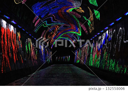 【錦川鉄道】きらら夢トンネル 132558006