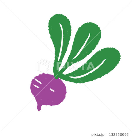 手描きの可愛いビーツのイラスト 132558095