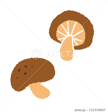 手描きの可愛い椎茸のイラスト 132558097